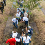 ¿como-lograr-que-el-valle-del-cauca-tenga-un-millon-de-arboles-mas?-ponga-el-terreno-y-la-cvc-le-entrega-los-gigantes:-este-es-el-proceso