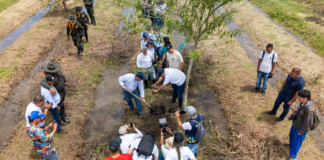 ¿Cómo lograr que el Valle del Cauca tenga un millón de árboles más? Ponga el terreno y la CVC le entrega los gigantes: este es el proceso ¿como-lograr-que-el-valle-del-cauca-tenga-un-millon-de-arboles-mas?-ponga-el-terreno-y-la-cvc-le-entrega-los-gigantes:-este-es-el-proceso