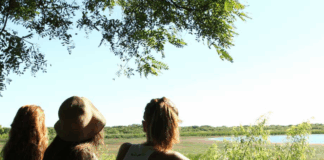 Herald Favorites: Best ways to pretend youre not in the city (without leaving Buenos Aires) herald-favorites:-best-ways-to-pretend-youre-not-in-the-city-(without-leaving-buenos-aires)