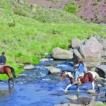 al-trote,-del-llano-a-la-montana