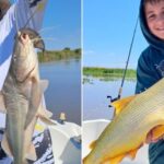 entre-rios:-la-pesca-vuelve-a-brillar-en-victoria