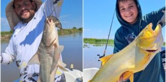 Entre Ríos: la pesca vuelve a brillar en Victoria entre-rios:-la-pesca-vuelve-a-brillar-en-victoria