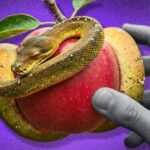 manzanas-cayendo-lejos-del-arbol.