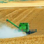 las-exportaciones-agroindustriales-tuvieron-el-mejor-septiembre-en-cuatro-anos