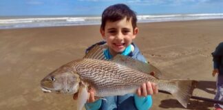 Corvinas, variada y la chance de un premio millonario en las playas del sur bonaerense corvinas,-variada-y-la-chance-de-un-premio-millonario-en-las-playas-del-sur-bonaerense