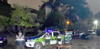 Desarticularon una red de venta ilegal de aves en Tucumán desarticularon-una-red-de-venta-ilegal-de-aves-en-tucuman