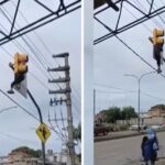 usaban-a-su-hijo-para-robar-cables-arriba-de-un-semaforo:-el-video
