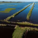 fuertes-lluvias-y-obras-paralizadas-dejan-bajo-el-agua-la-pampa-argentina