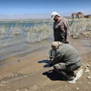 se-investiga-la-aparicion-de-peces-muertos-en-cuesta-del-viento