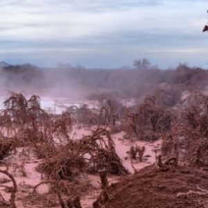 afirman-que-hay-mas-de-20-hectareas-contaminadas-en-un-bosque-salteno