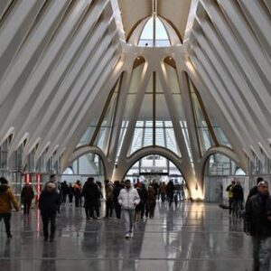 en-belgica,-le-recours-massif-de-letat-aux-gabinetes-de-consejo