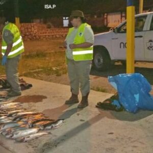 endurecen-la-lucha-contra-la-pesca-clandestina:-ahora-los-controles-llegan-hasta-los-restaurantes