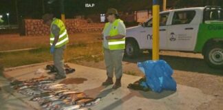 Endurecen la lucha contra la pesca clandestina: ahora los controles llegan hasta los restaurantes endurecen-la-lucha-contra-la-pesca-clandestina:-ahora-los-controles-llegan-hasta-los-restaurantes