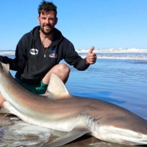 tiburones,-la-atraccion-mas-grande-del-mar-argentino