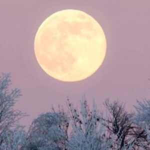 cuando-y-como-ver-la-luna-fria-2025-desde-la-argentina?