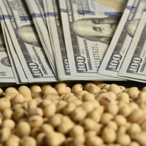 baja-de-retenciones:-hay-20%-de-la-cosecha-de-soja-sin-liquidar,-pero-dudan-sobre-cuantos-dolares-traccionara-la-medida
