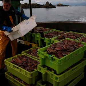 derechos-de-pesca:-la-union-europea-y-la-union-europea-sacaron-un-valor-de-1,2-millones-de-euros-en-2026