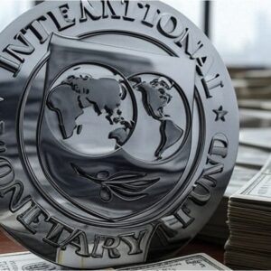 el-fmi-celebro-las-medidas-economicas-del-gobierno-de-javier-milei:-“estamos-colaborando-estrechamente”