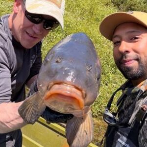 carpas-con-mosca-en-puerto-varas:-el-desafio-dorado-de-la-region-de-los-lagos