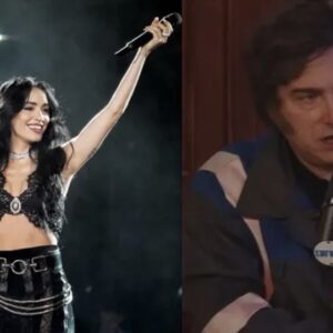 lali-esposito-volvio-a-responderle-a-milei:-cuando-ya-cazaste-leon,-no-te-distraen-las