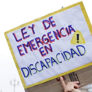 el-gobierno-apelo-el-fallo-que-lo-obligaba-a-aplicar-la-ley-de-emergencia-en-discapacidad