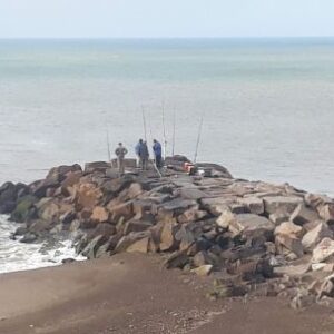 en-plan-de-vacaciones:-guia-practica-para-disfrutar-la-pesca-en-el-litoral-bonaerense