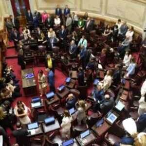 el-partido-mileis-impulsa-con-exito-el-proyecto-de-presupuesto-de-2026-a-traves-del-senado