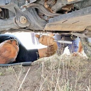 guia-paso-a-paso:-que-revisar-de-la-camioneta-al-regresar-de-una-travesia-4×4