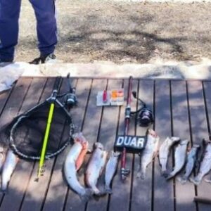 furtivos-bajo-la-lupa:-operativos-en-el-norte-y-el-sur-del-pais-golpean-a-la-pesca-ilegal