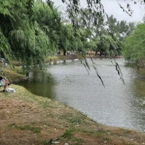 no-todos-pescan-en-la-playa:-grandes-propuestas-en-lagos,-rios-y-arroyos