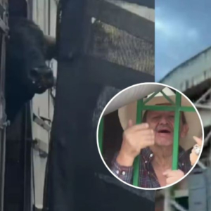 video-|-manifestantes-bloquearon-entrada-a-plaza-de-toros-en-barbosa,-santander,-y-encararon-a-organizadores-por-maltrato-animal:-‘asesinos’