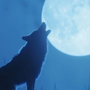 cuando-y-como-ver-la-luna-del-lobo-2026?