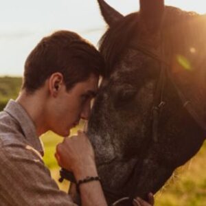 buscan-hogares-para-mas-de-80-caballos-rescatados-del-abandono-y-el-maltrato-en-cordoba