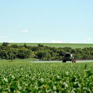 acuerdo-mercosur-ue:-se-le-ofrecera-un-incentivo-a-los-agricultores-para-acelerar-la-firma