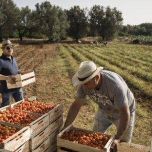 italia-planea-respaldar-al-mercosur,-allanando-el-camino-para-un-acuerdo-comercial-con-la-ue