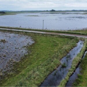 axel-kicillof-declaro-y-prorrogo-la-emergencia-agropecuaria-por-inundaciones-en-mas-de-10-distritos-bonaerenses