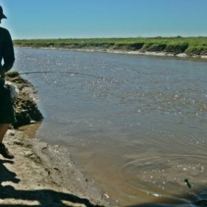 suba-del-464-%-en-la-licencia-de-pesca-bonaerense
