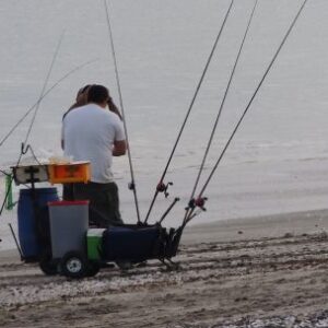 san-antonio-oeste-ordena-la-pesca-deportiva-con-zonas-definidas-y-reglas-claras-en-la-costa