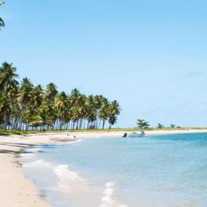tourism-statistics-show-argentines-flocking-to-brazil,-belying-states-narrative