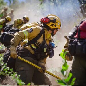 patagonia-wildfires:-rain-helps-control-the-flames-and-brings-relief-to-firefighters