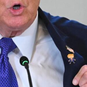 thomas-gomart,-director-de-lifri:-donald-trump-est-devenu-le-parrain-du-systeme-occidental,-au-sens-sicilian-du-terme