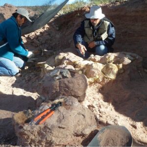 argentine-scientists-discover-giant-new-dinosaur-in-neuquen