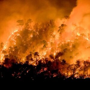19-dead-and-50,000-evacuated-as-wildfires-spread-through-south-central-chile