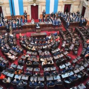 la-camara-baja-de-argentina-pierde-terreno-en-paridad-de-genero-despues-de-las-elecciones-de-2025