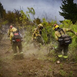 wildfire-hotspots-reignite-in-patagonia,-flames-rage-on-in-south-central-chile