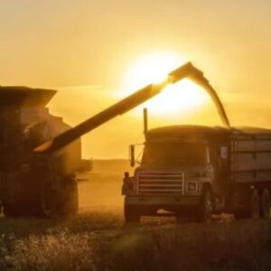argentina-records-trade-surplus-of-us$11-billion-in-2025,-despite-imports-jumping-25%