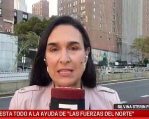 c5n-echo-a-la-periodista-silvina-sterin-pensel-por-criticar-a-israel