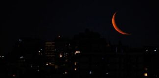 Historias que nos llamaron la atención: del 16 al 23 de enero historias-que-nos-llamaron-la-atencion:-del-16-al-23-de-enero