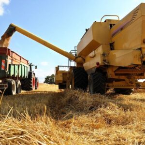 advierten-que-la-cosecha-record-de-trigo-salvo-a-la-economia-de-su-tercera-caida-al-hilo-en-diciembre