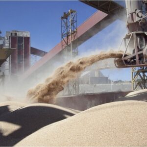 exportaciones-record-para-el-campo,-que-registro-un-crecimiento-exponencial-de-su-produccion-en-2025